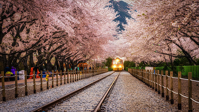 travel