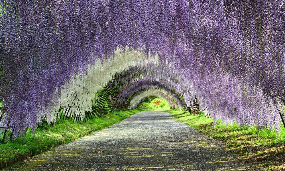 travel