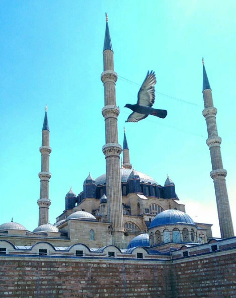 blue mosque