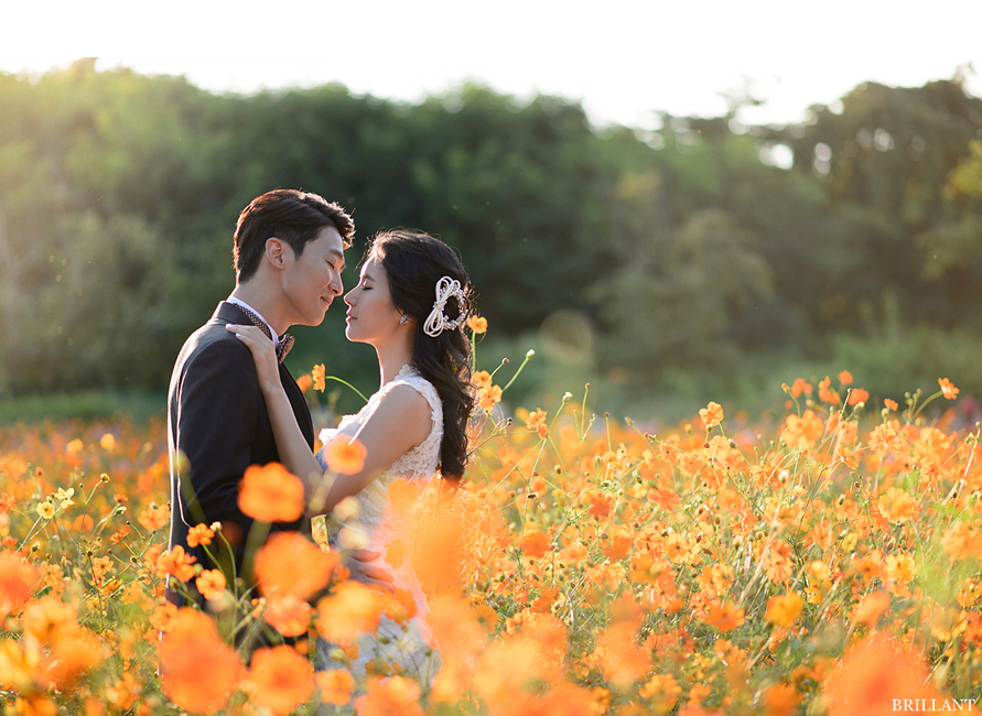 weddding