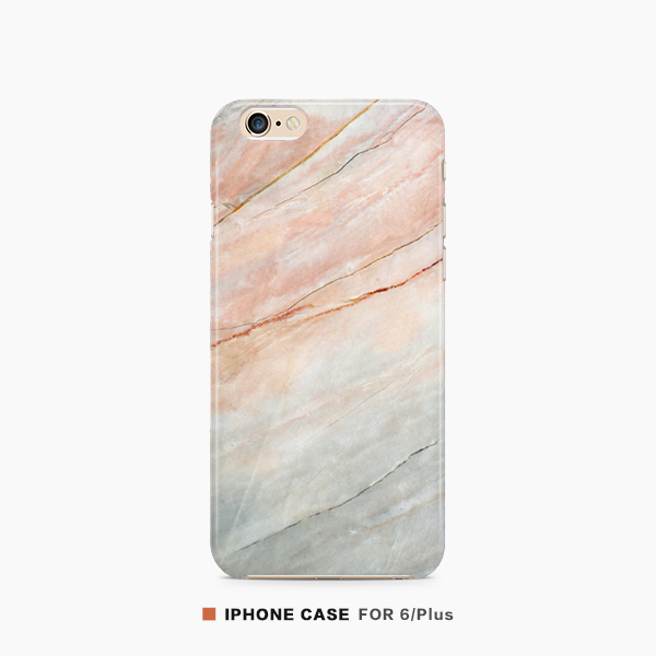 Case