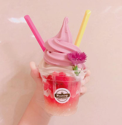foodie