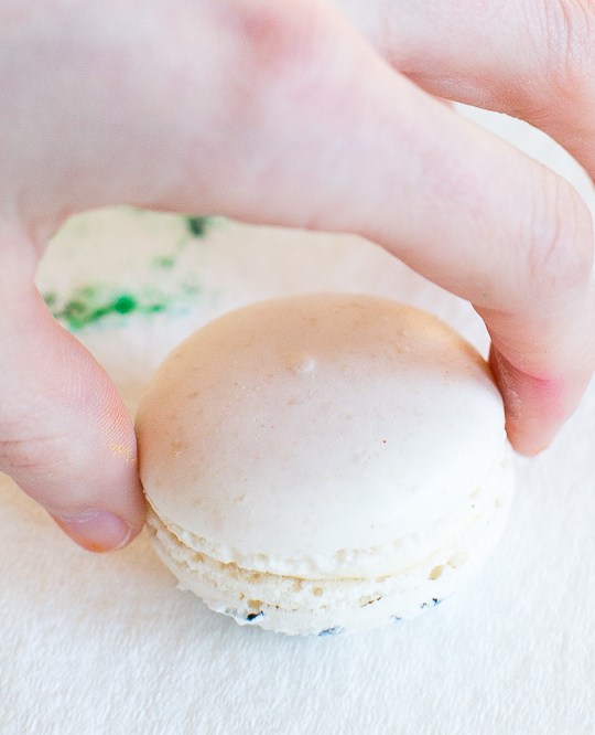 macaron