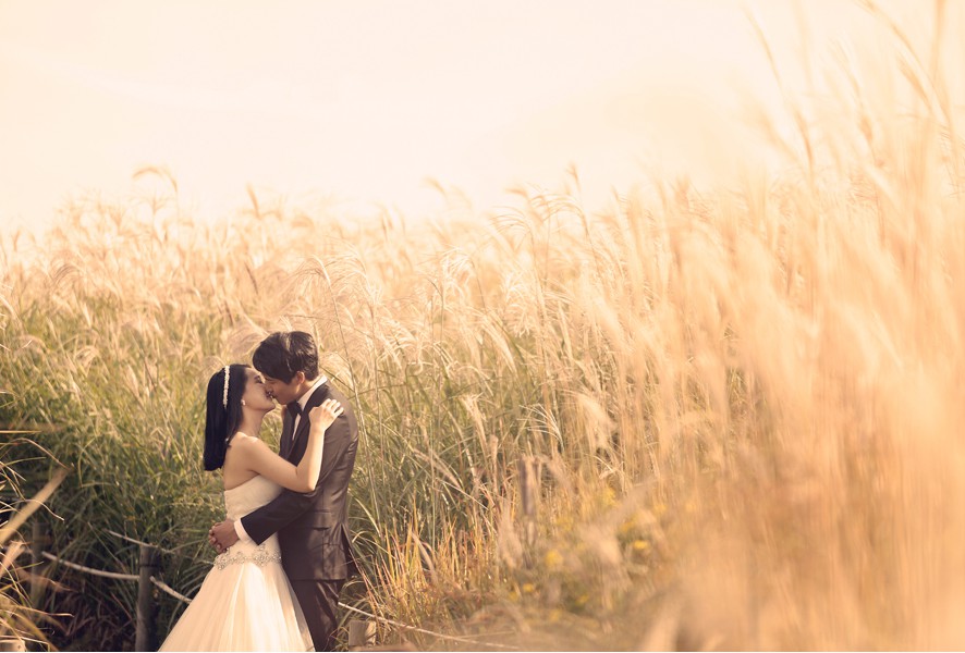 weddding