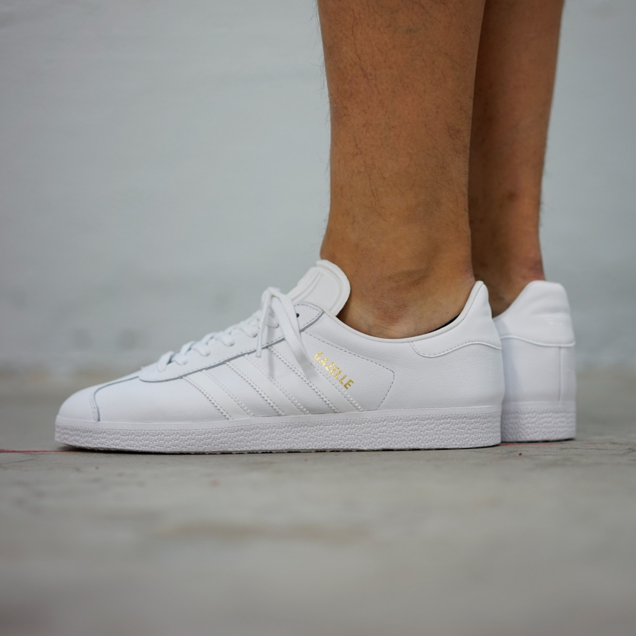 gazelle