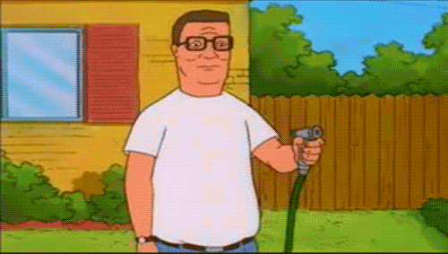 giphy4