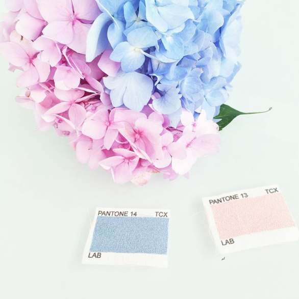 pinterest