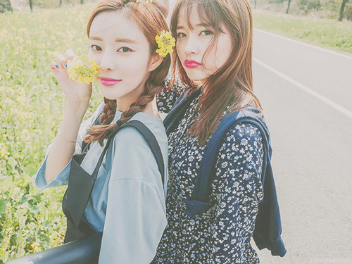 weheartit