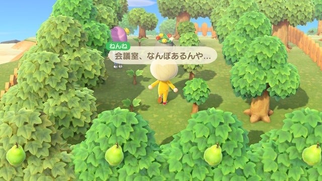 《動物之森》Home Office開會《集合啦!動物森友會》員工去曬釣魚!