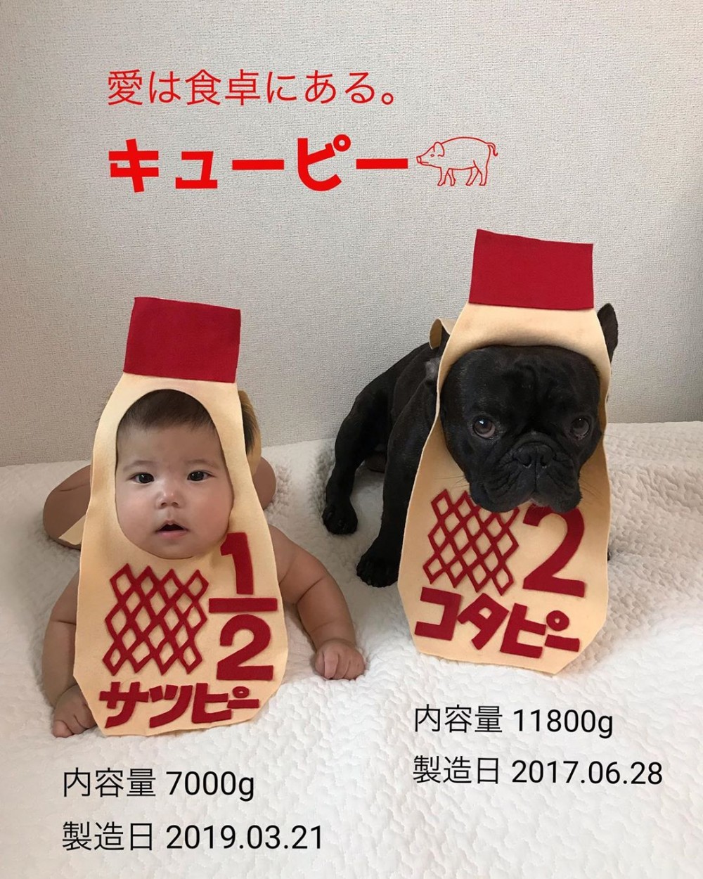 日本 Kewpie 丘比沙律醬bb衫