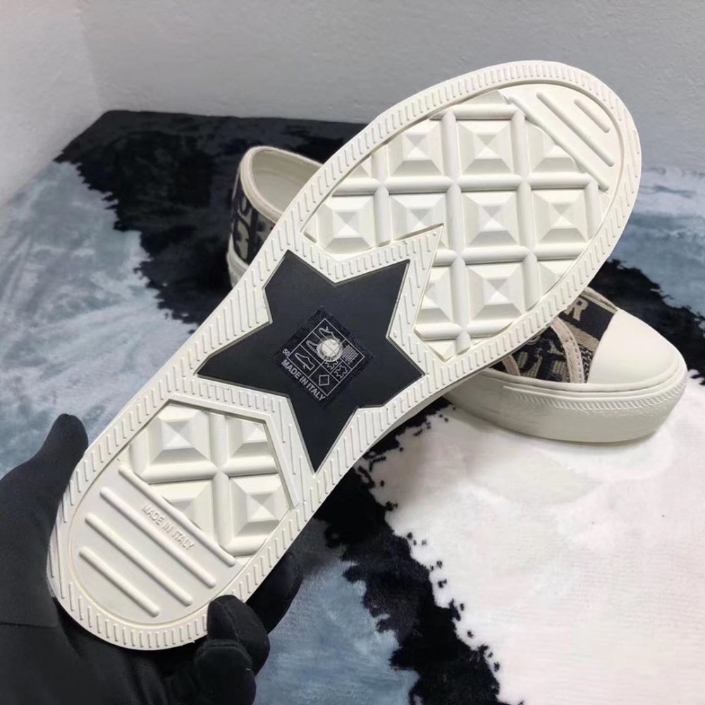 DIOR帆布鞋