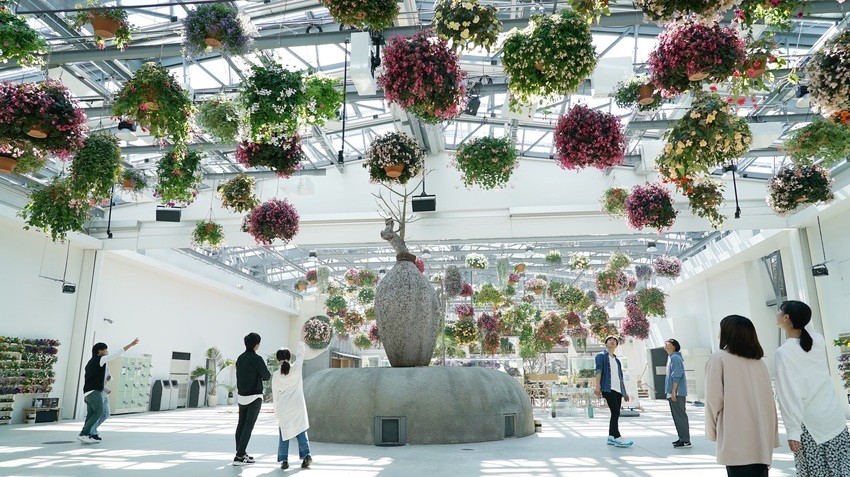 日本HANA•BIYORI 超美「溫室花園Starbucks」