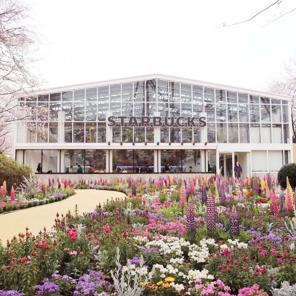 日本HANA•BIYORI 超美「溫室花園Starbucks」