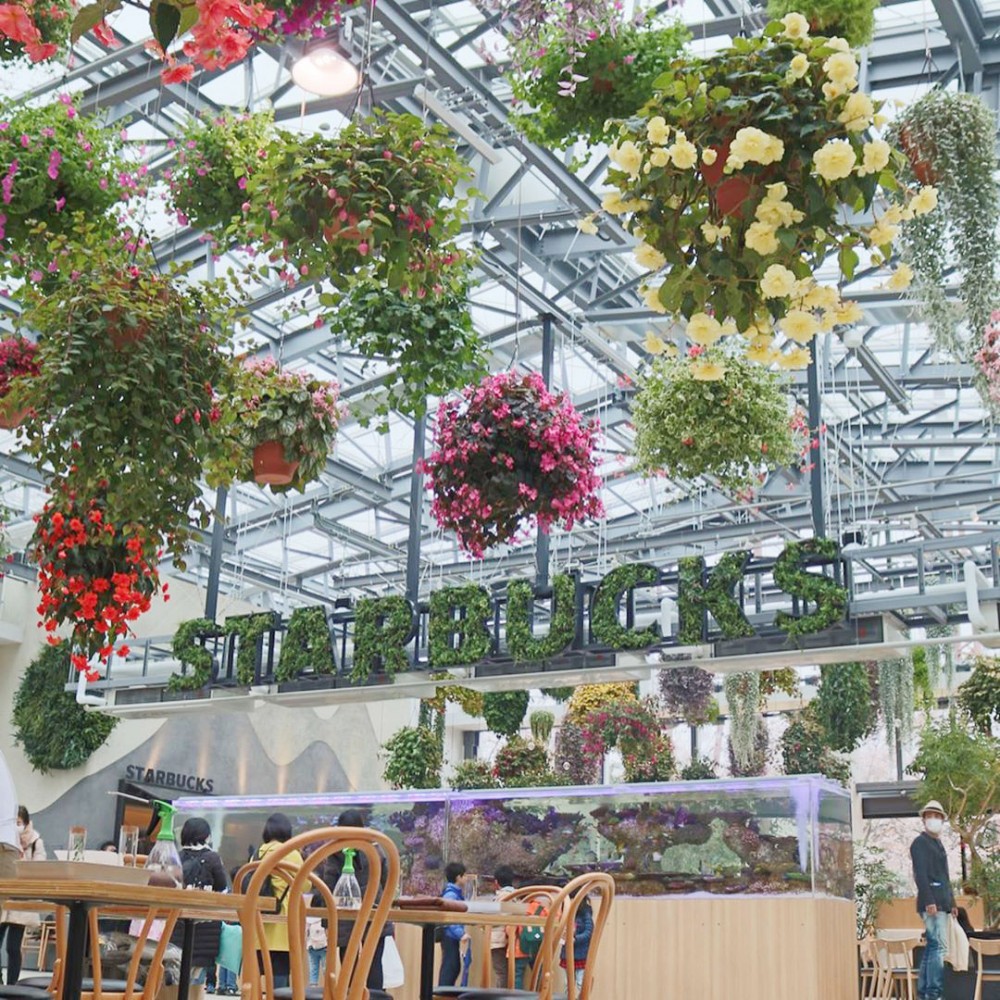 日本HANA•BIYORI 超美「溫室花園Starbucks」