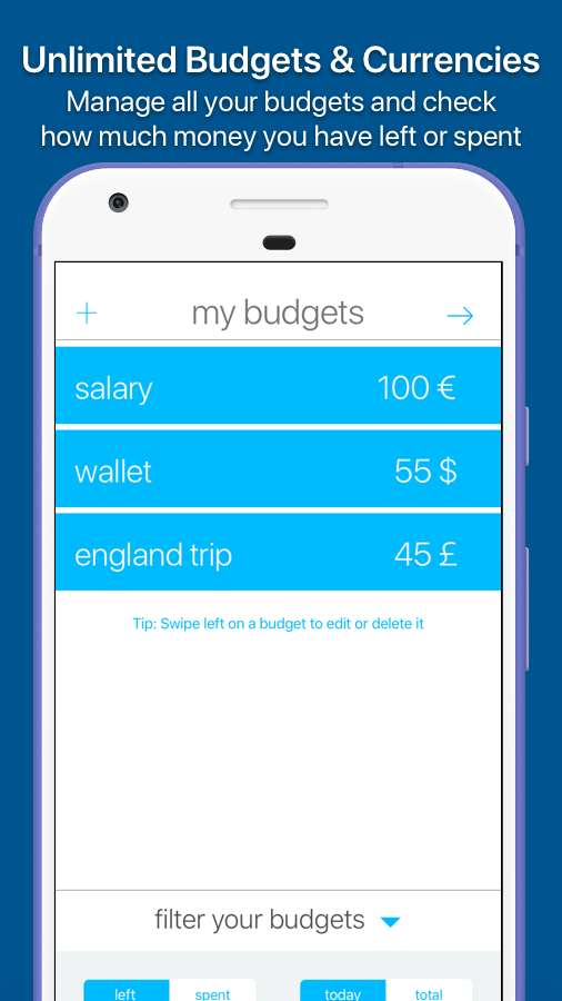 personal budget manager lara