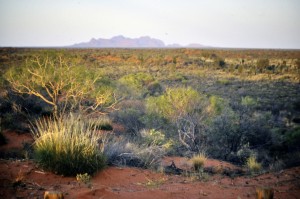 kata tjuta in a haze Uluru-Kata Tjuta National Park Australia Cathrin Eszbach