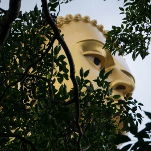 Peeping Buddha Golden Temple of Dambulla - Sri Lanka paul brooks