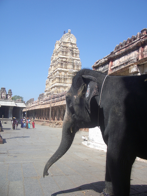 Inside the Virupaksha Temple. Credit:Klaus Nahr/ Flickr CC BY-SA 2.0