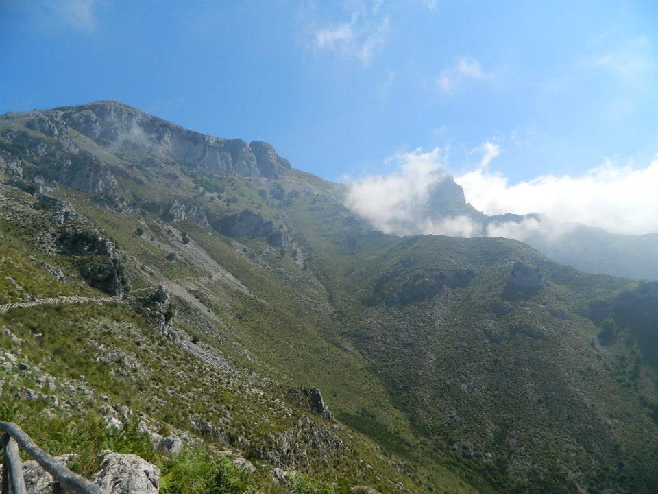 Image 3 - The mountain trail