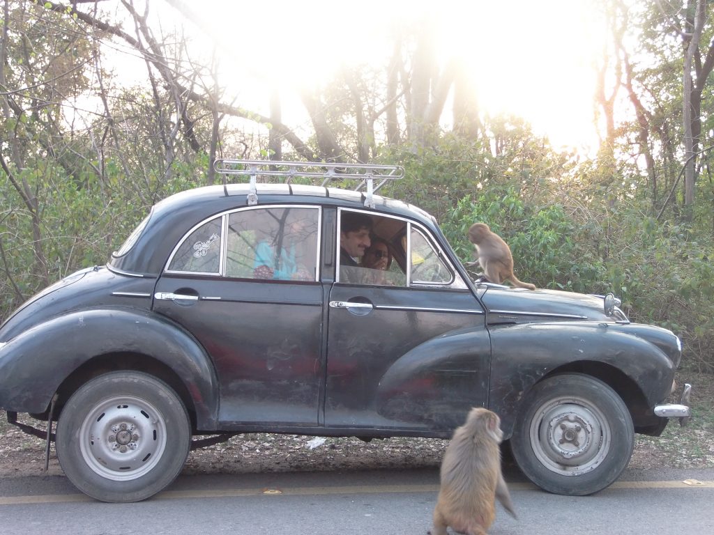 A family giving treats to monkeys