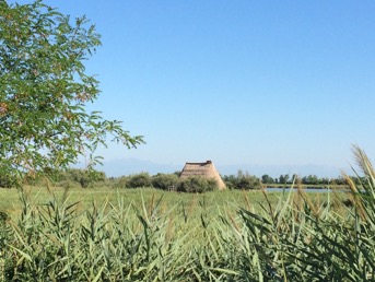 Casoni along Nicesolo canal