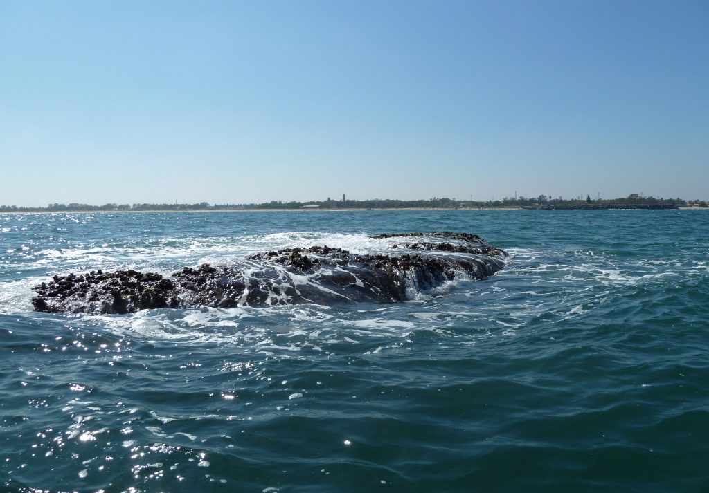 the-submerged-pagodas-of-mahabalipuram-the-line-of-rocks