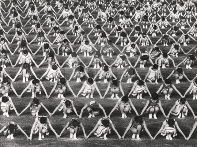 Gymnastic exhibitions at Youth Day