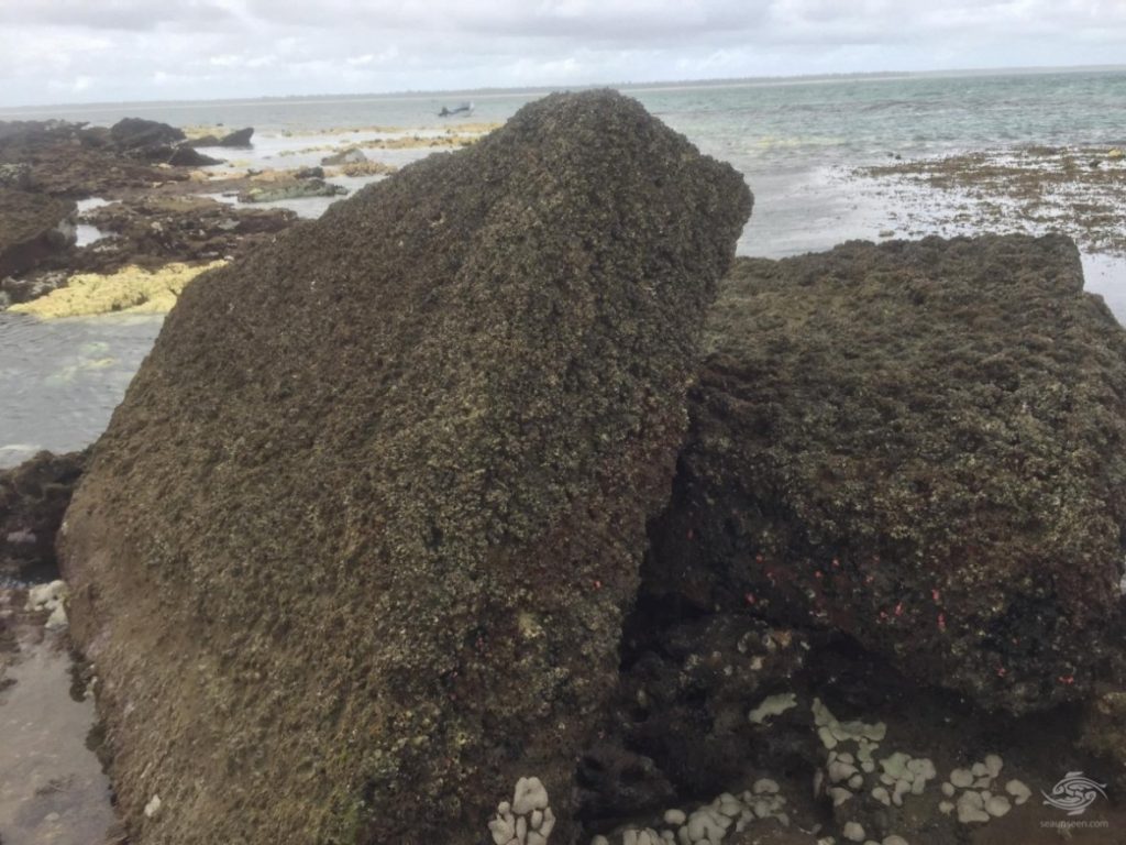 Stone Blocks. Photo Credit: Allan Sutton.