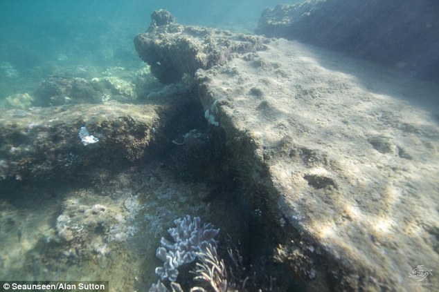 Photo Credit: Allan Sutton/ Seaunseen