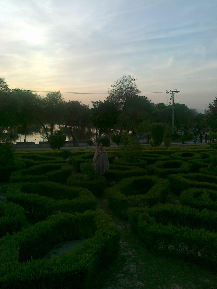 maze