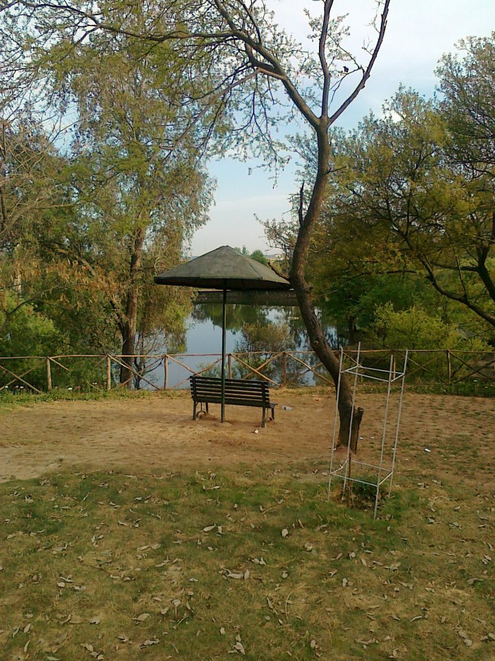 park