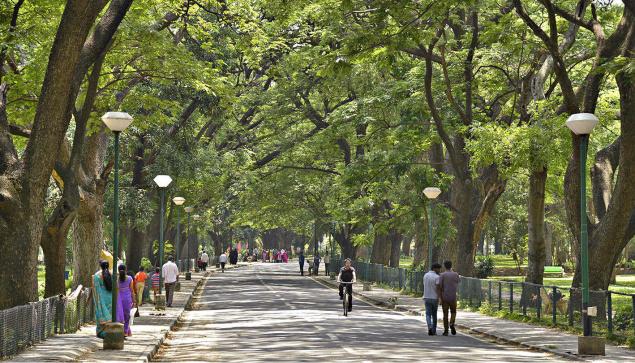 Cubbon Park
