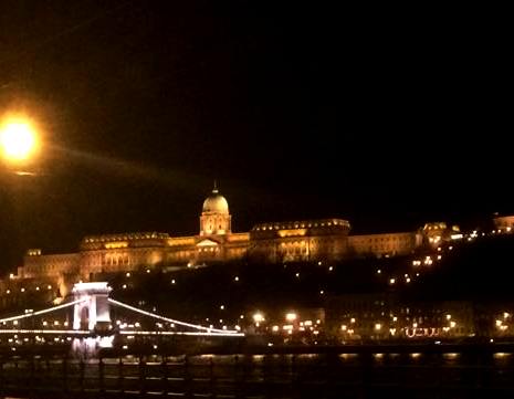 Buda Castle and Chain Bridge