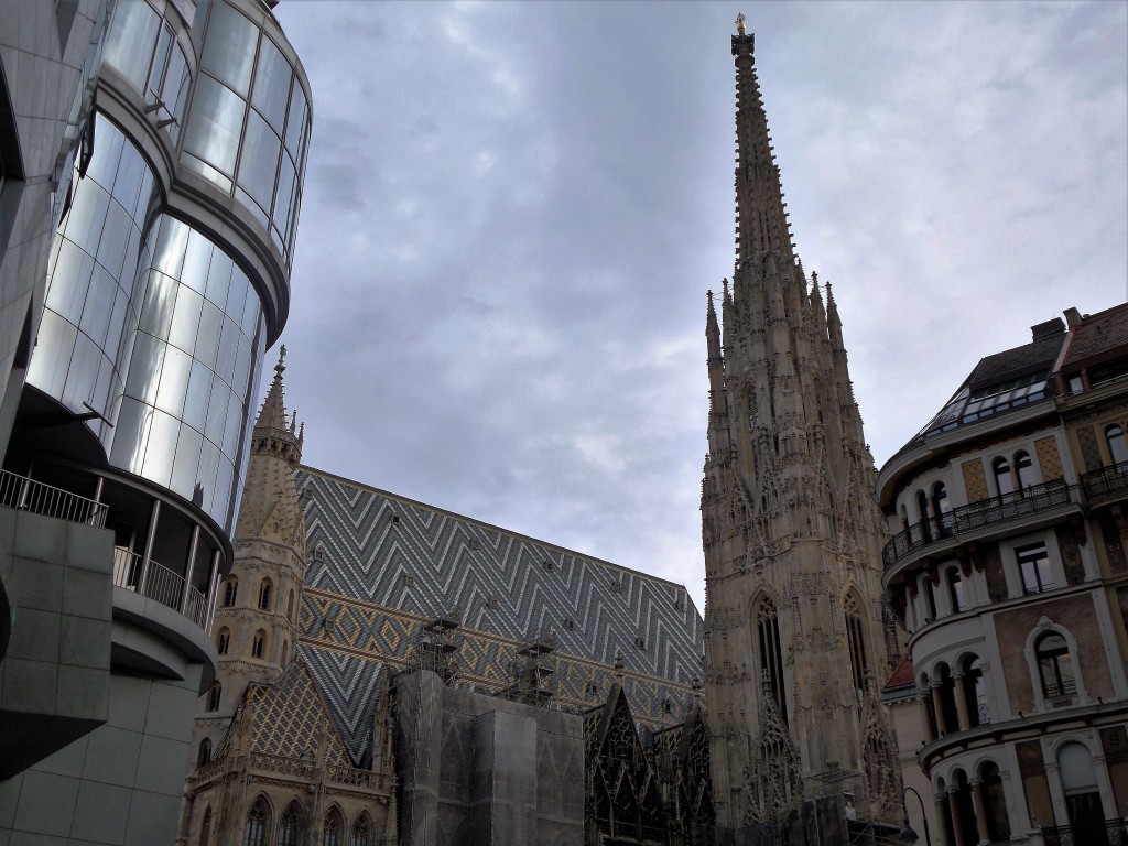 Steffl and its neighbours