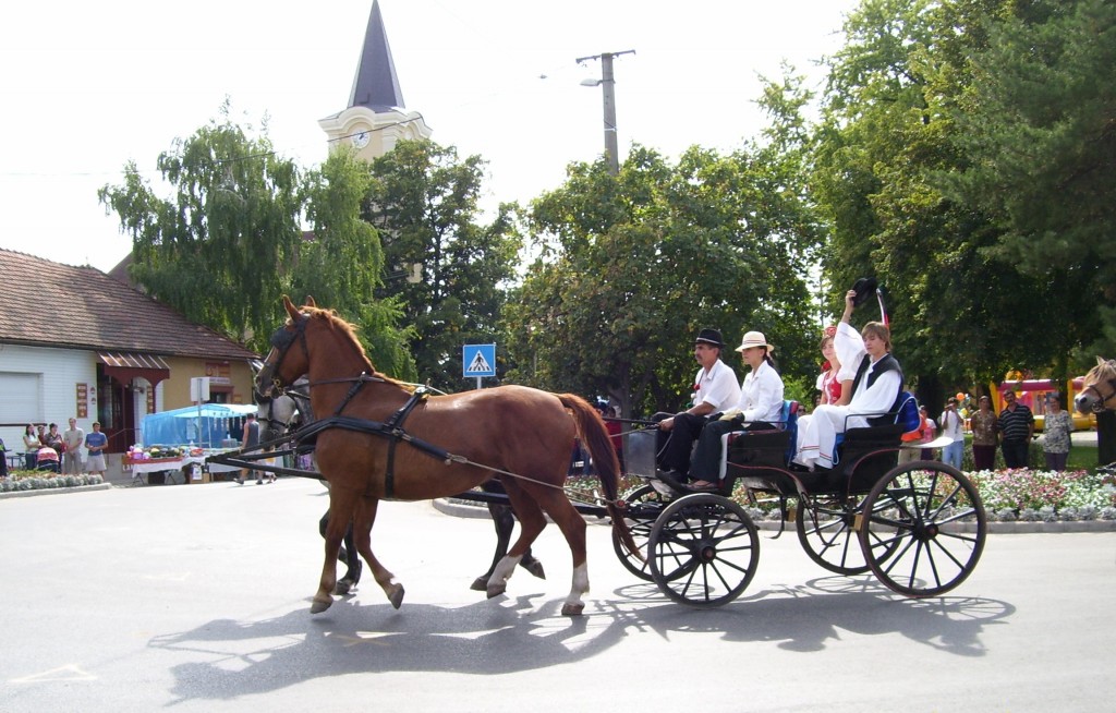 Csősz pair on a horse-drawn carriage