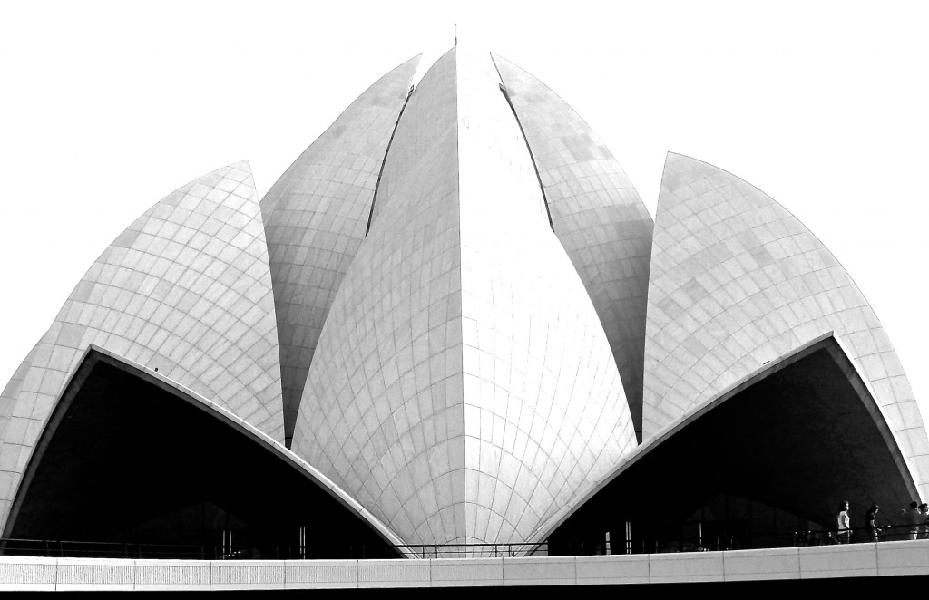 The Lotus