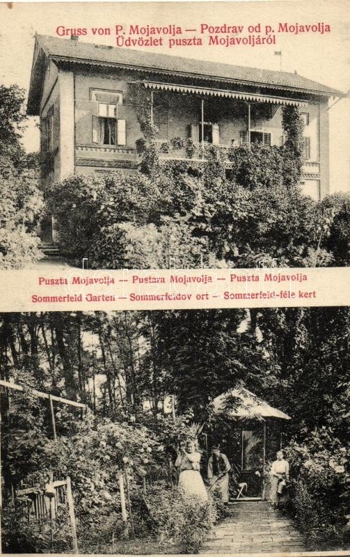 Postcard