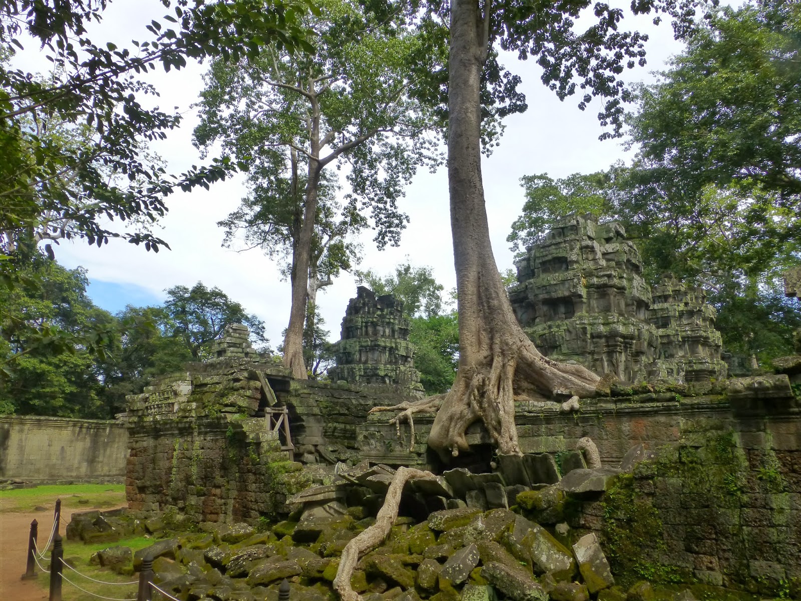 Ta Prohm Angkor Wat - Cambodia By Jacomijn Ta Prohm Angkor Wat - Cambodia By Jacomijn