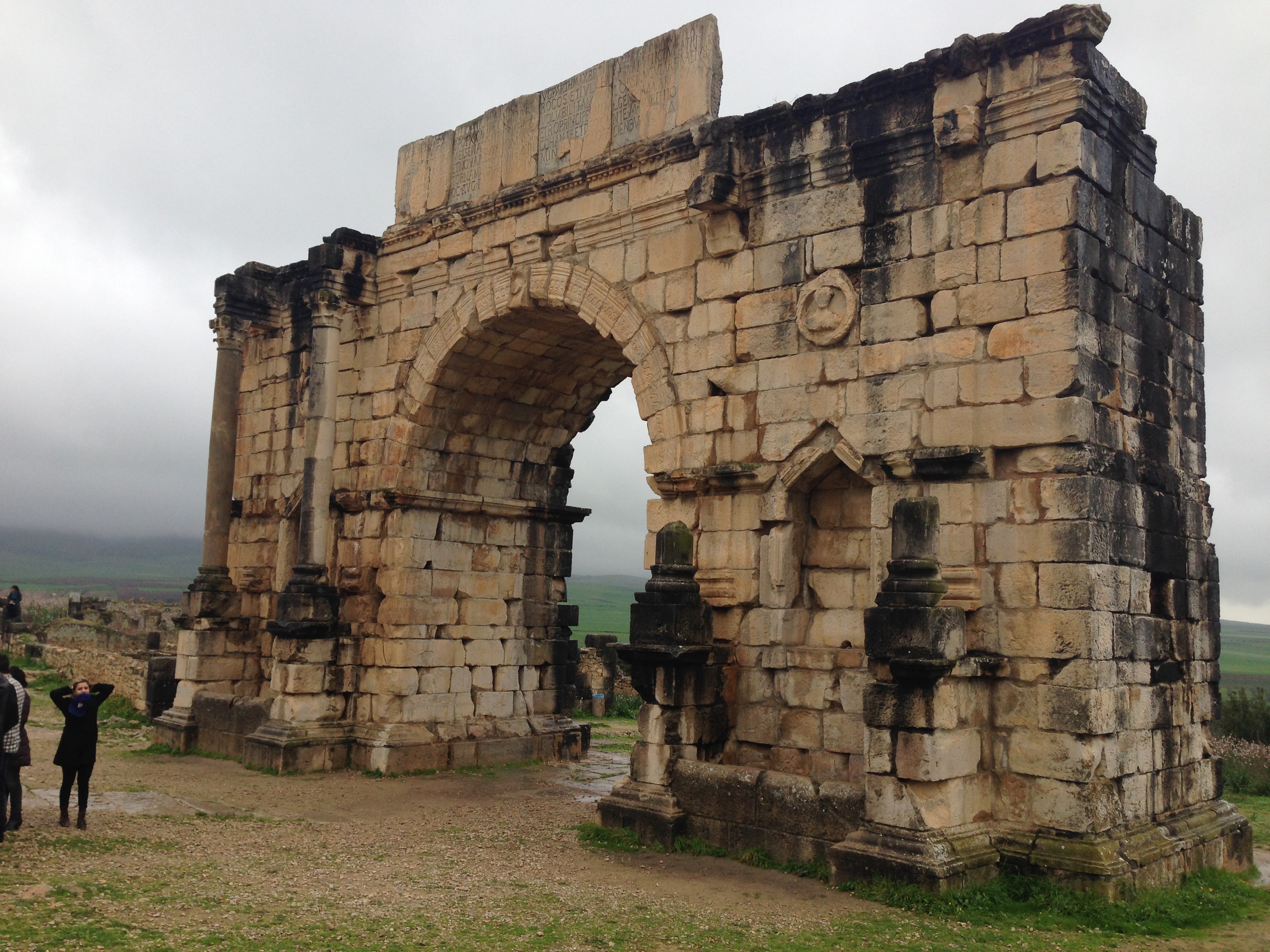 Volubilis Volubilis
