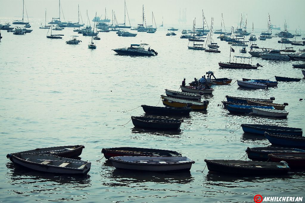 Boats view