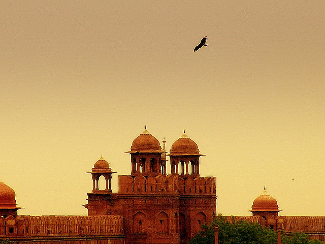 Saad_Akhtar_-_Red_Fort