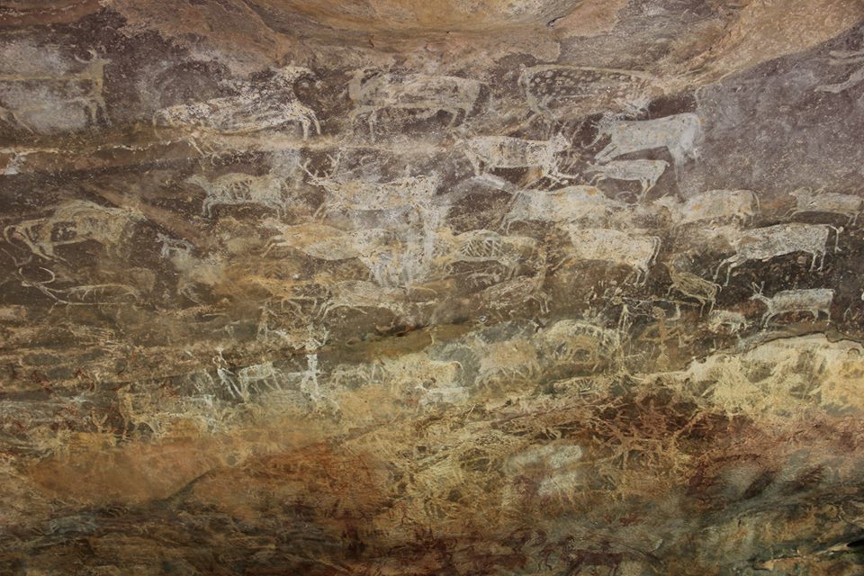 Zoo rock in Bhimbetka