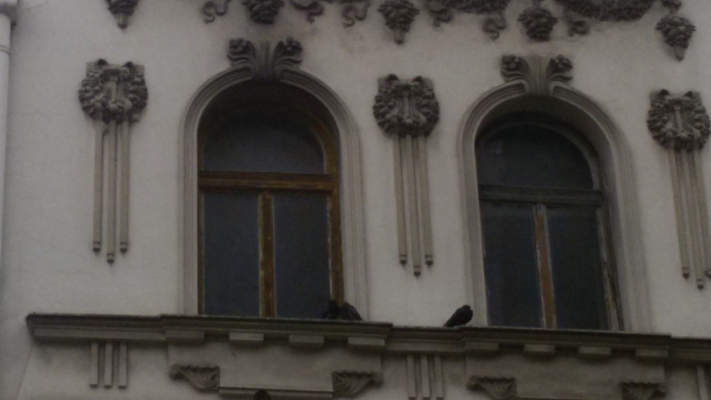 Pigeons in love with heritage :)