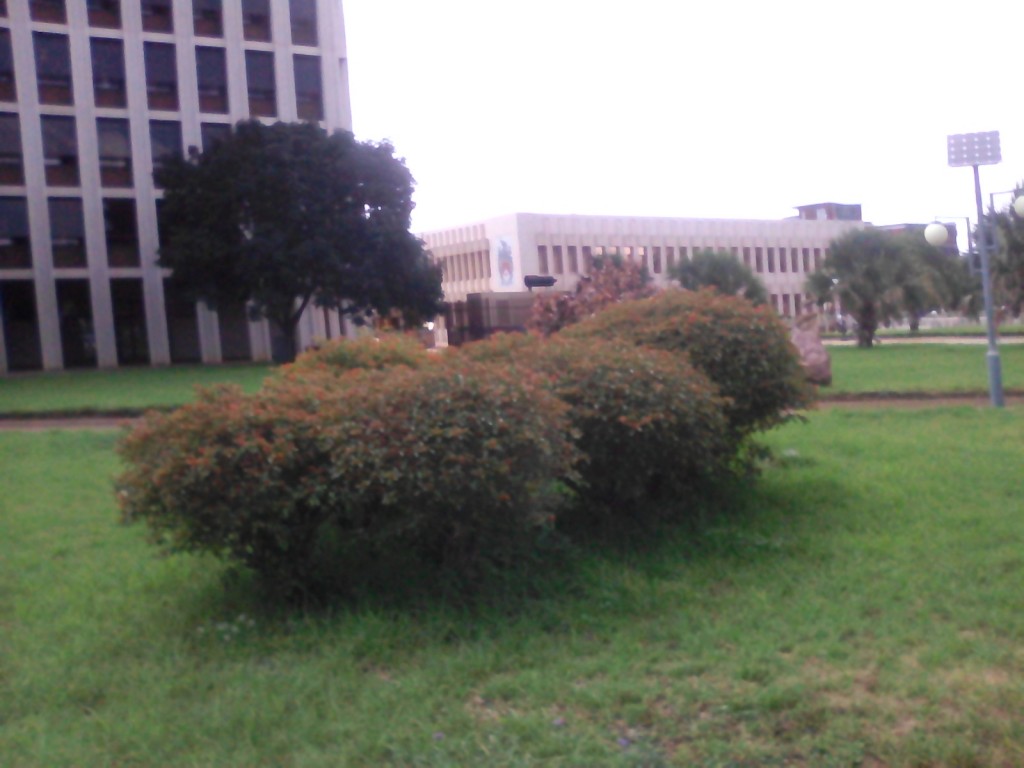 Exif_JPEG_420