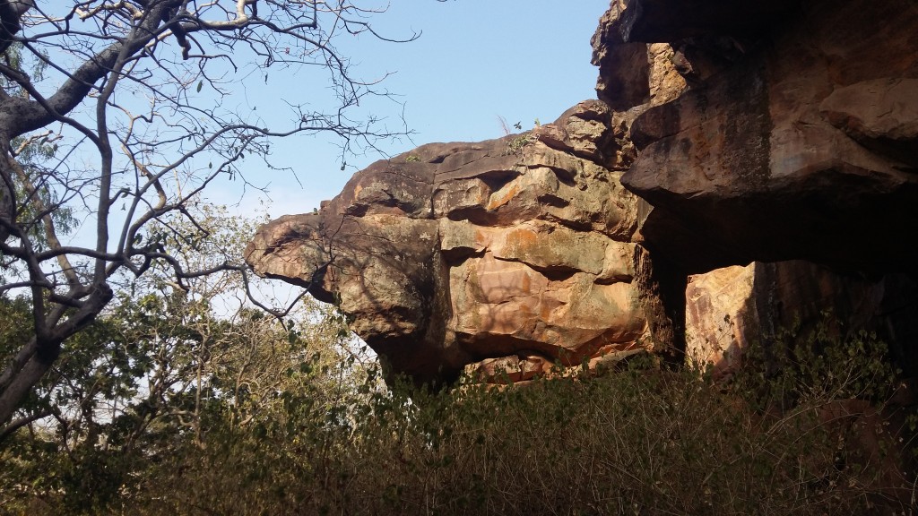 bird rock