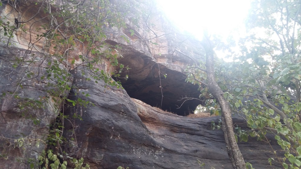 cave of bats