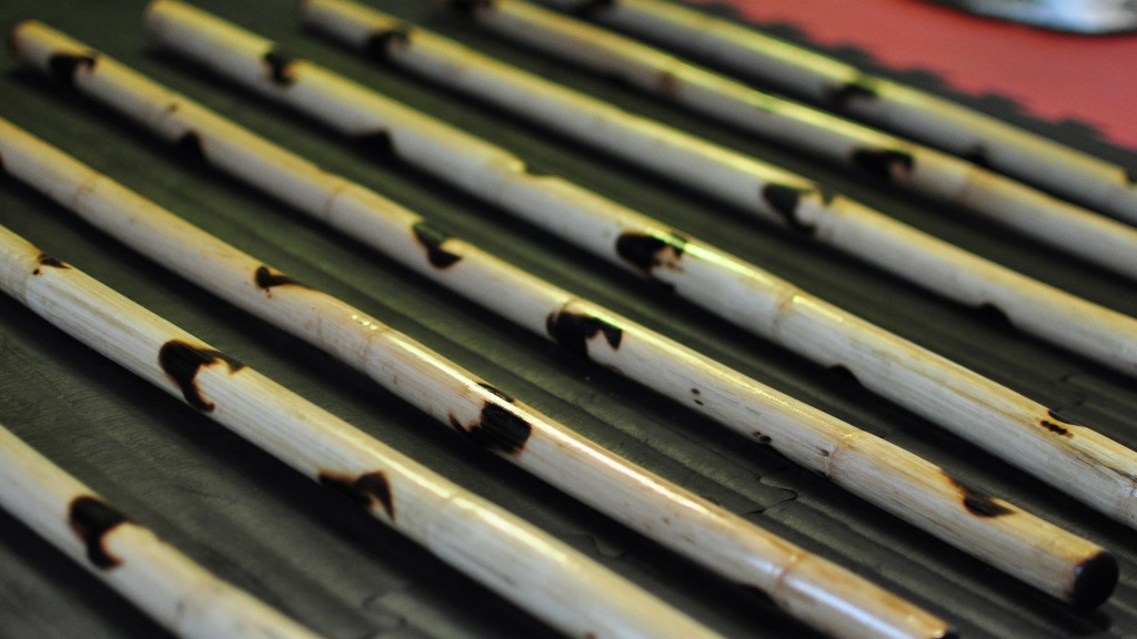 Sticks Picture Courtesy: http://silambam.asia/silambam_about.html