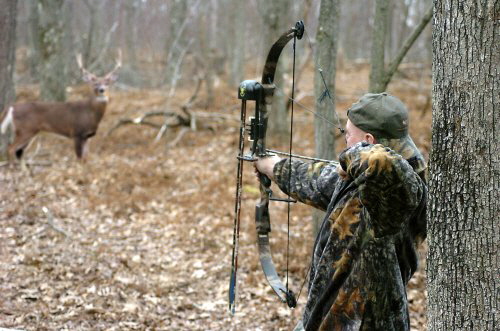 Deer hunting is survival hunting or sport hunting for deer, which dates back tens of thousands of years. Source clintoncountyinfo.com