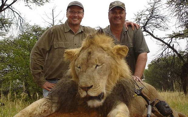 Walter Palmer who shot dead Cecil – one of Zimbabwe's most loved lions Picture Courtesy: http://i.telegraph.co.uk/