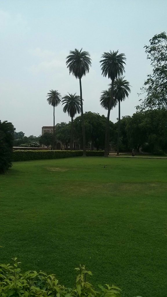 Competing trees